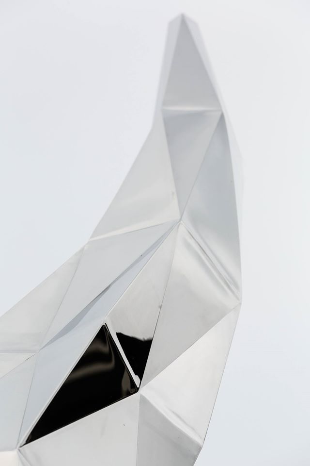 10372976 10203464246620593 6144730301532246477 o