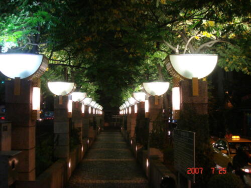 新莊市福營綠廊光雕藝術工程夜景